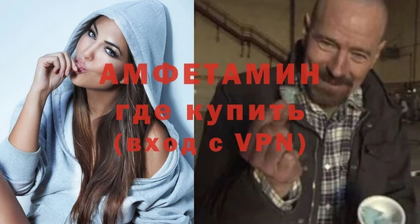 индика Алексин