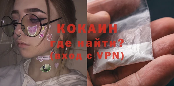 индика Алексин