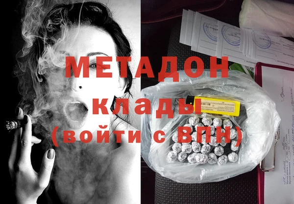 индика Алексин