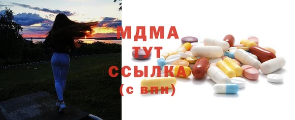 индика Алексин