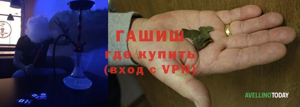 индика Алексин