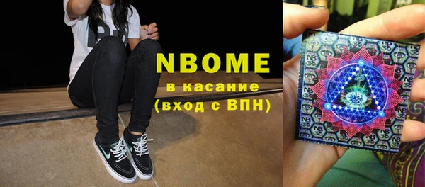 индика Алексин